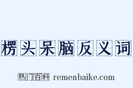 楞头呆脑反义词是什么意思的图片